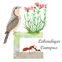 Logo des Projektes: Lebendiger Campus